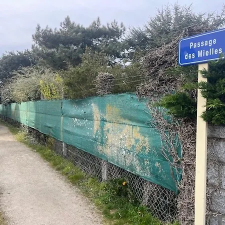 Rez-de-chaussee, Proche