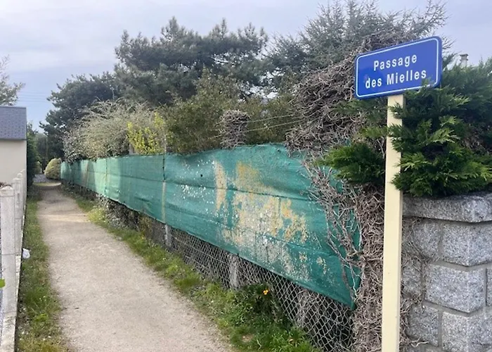 Rez-de-chaussee, Proche - Fr-1-361-575